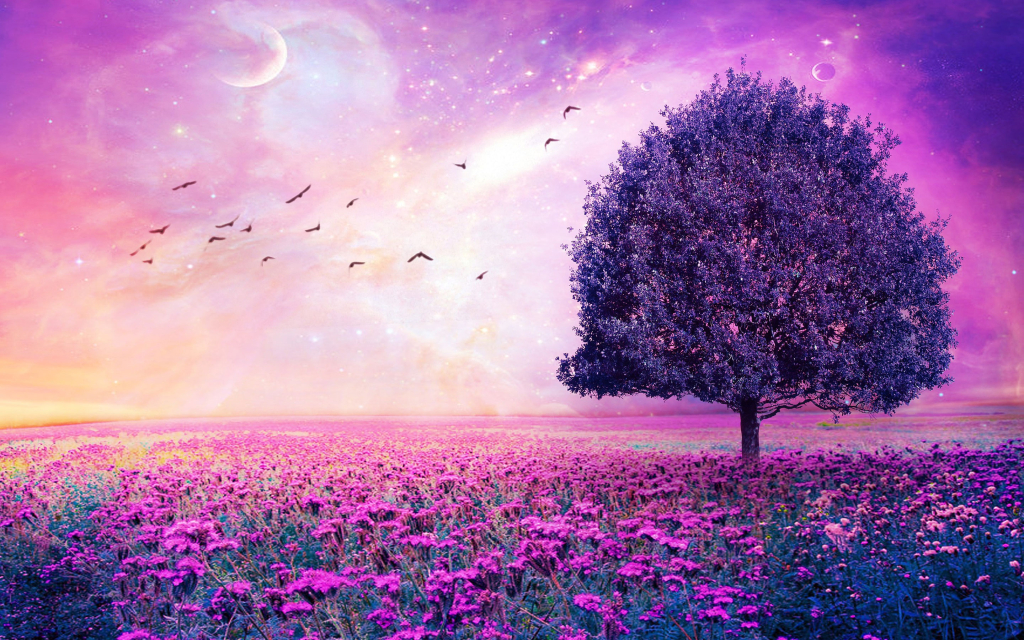 Red sky bird and flower wallpaper in pink for WINDOWS AND MAC BACKGROUDNS